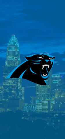 Carolina Panthers Mobile Background 720x1520px