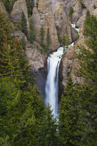 Yellowstone National Park Phone HD Background 2133x3200px