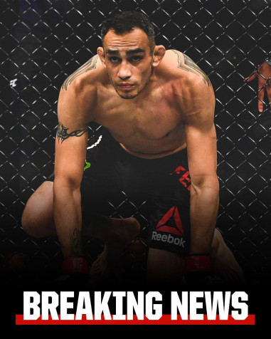 Charles Oliveira Mobile Wallpaper 1080x1350px