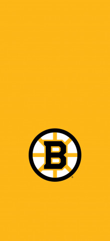 Boston Bruins iPhone 11 Pro Wallpaper 1125x2436px