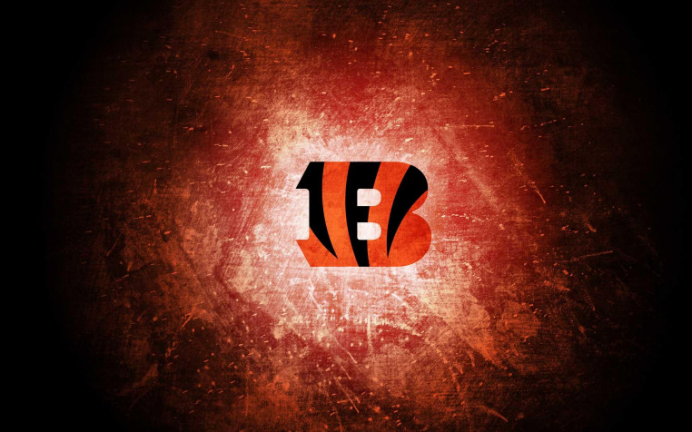 Cincinnati Bengals Logo Widescreen HD Wallpaper 1920x1200px