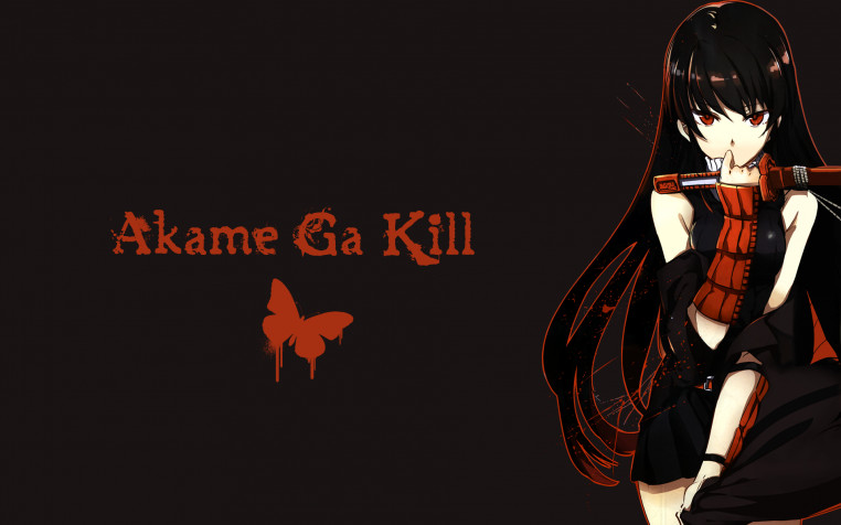 Akame Ga Kill Widescreen HD Wallpaper 1920x1200px