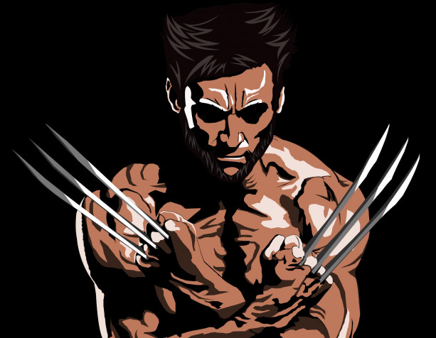 Wolverine Hd Wallpaper Image 2318x1800px