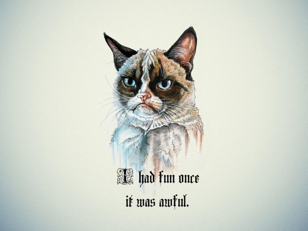 Grumpy Cat Desktop Wallpaper 1600x1200px