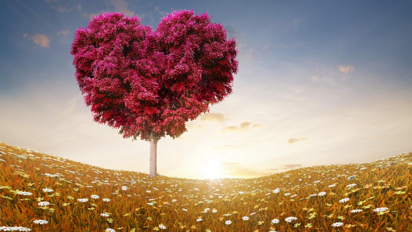 Love Full HD 1080p Wallpaper 1920x1080px