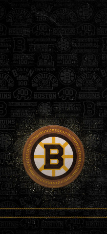 Boston Bruins iPhone 11 Pro Wallpaper 1125x2436px