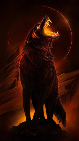 Black Wolf iPhone Background 800x1422px