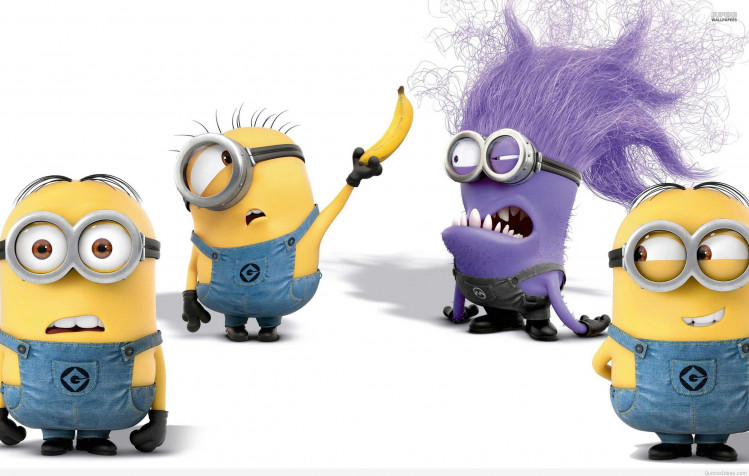 Minions Pc Desktop HD Wallpaper 2560x1627px