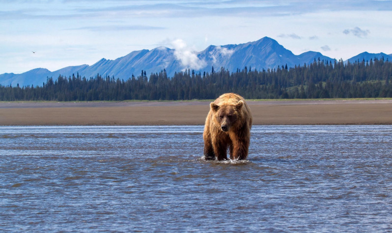 Alaska Laptop Wallpaper 2048x1222px