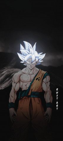 Goku Ultra Instinct Android Wallpaper 1080x2408px