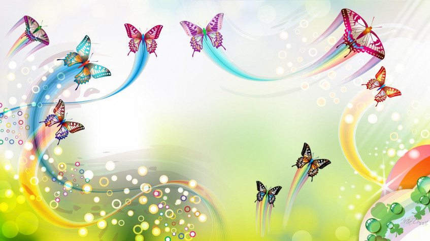 Butterflies Hd Full HD 1080p Wallpaper 1920x1080px