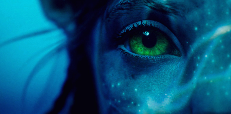 Avatar 2 HD Background 1600x791px