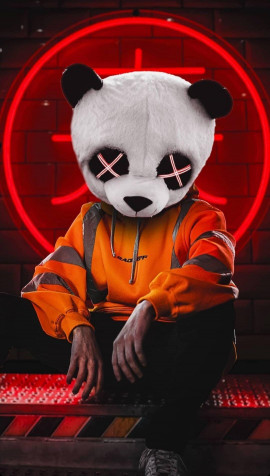 Panda Mask Wallpaper for Mobile 1080x1898px