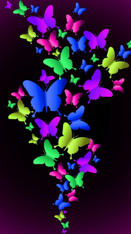 Butterfly Wallpaper for Mobile 1080x1920px