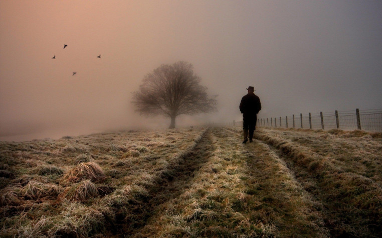 Lonely Wallpaper Image 2560x1600px