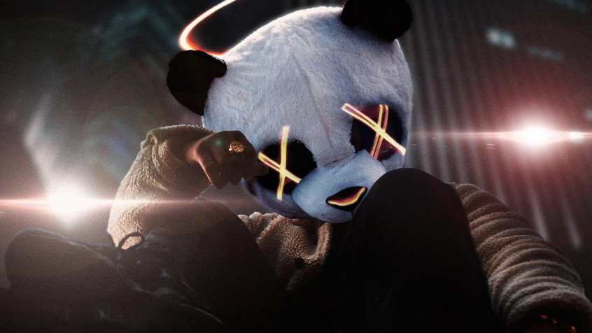 Panda Mask HD Wallpaper 2048x1152px