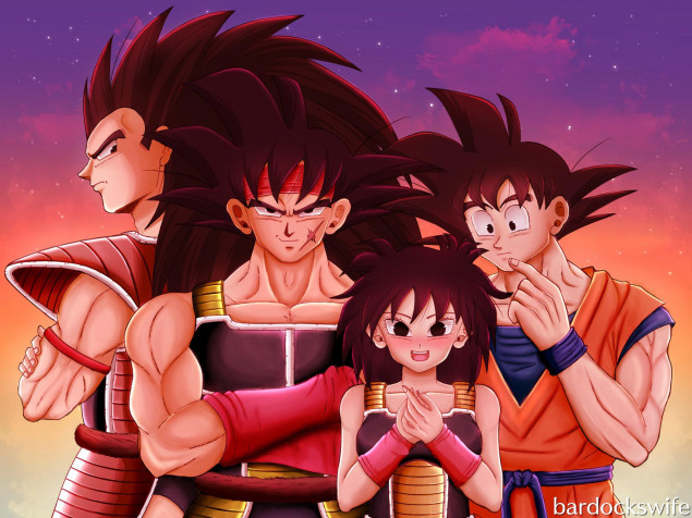 Raditz Desktop HD Background 2048x1536px