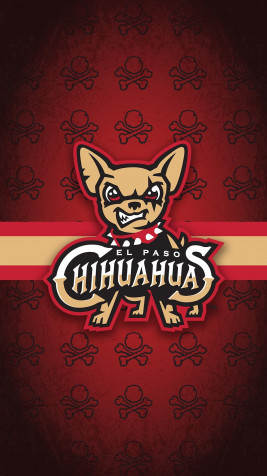 Chihuahua iPhone Wallpaper 1080x1920px