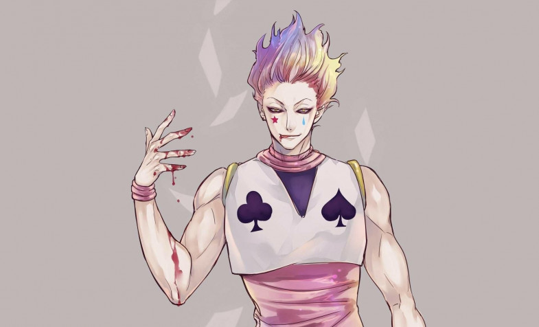 Hisoka Hd Laptop Background 1920x1164px