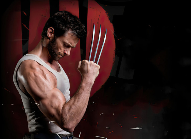 Wolverine Hd HD Wallpaper 2400x1756px