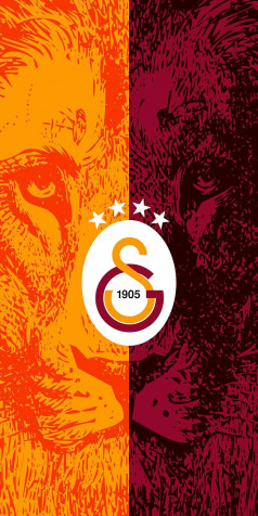 Galatasaray iPhone Wallpaper 800x1600px