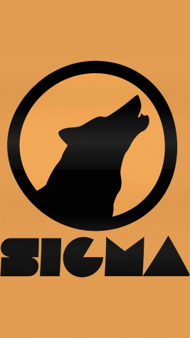 Sigma Male iPhone Wallpaper 1440x2560px