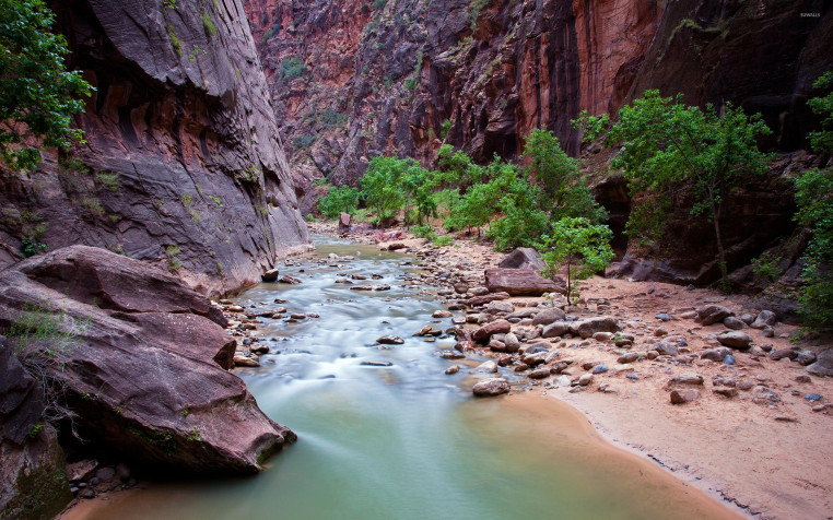 Zion National Park Desktop Background 2560x1600px