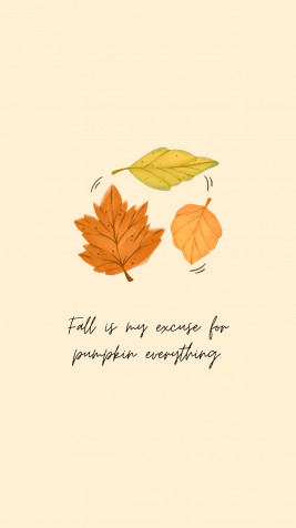 Fall Android Wallpaper Image 1080x1920px