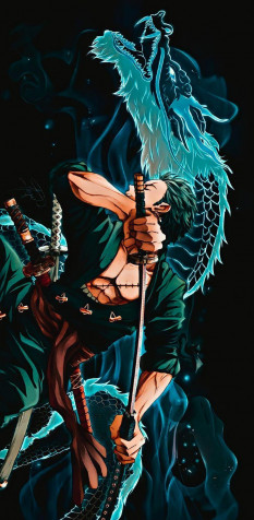 Zoro Phone HD Background 736x1502px