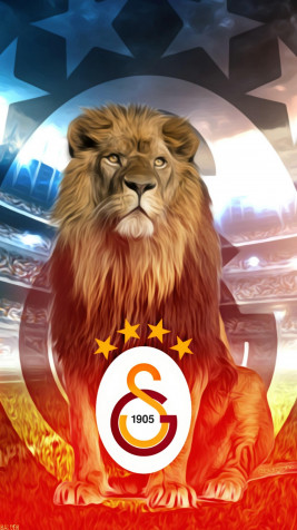 Galatasaray Phone HD Background 1242x2208px