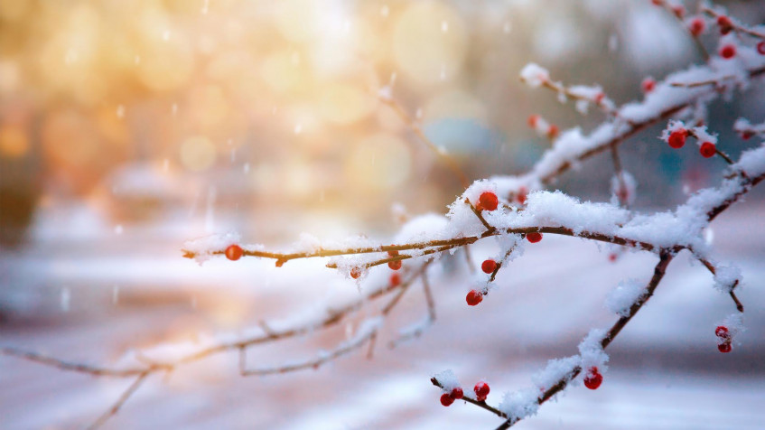 Winter Full HD 1080p Wallpaper 1920x1080px