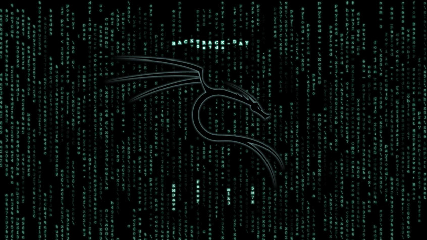 Hacker 2k QHD Wallpaper 2560x1440px