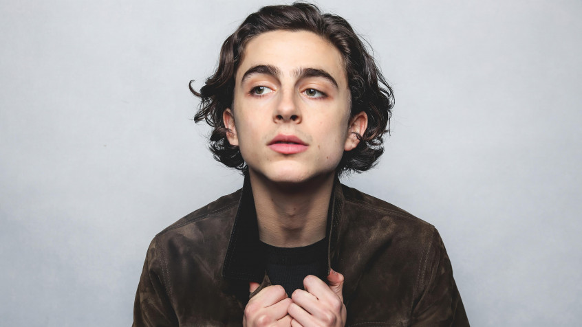 Timothee Chalamet 4k UHD Wallpaper 3840x2160px