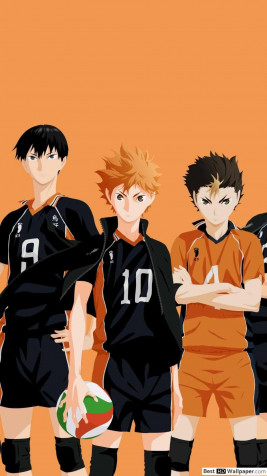 Haikyuu Season 5 iPhone Background 1080x1920px