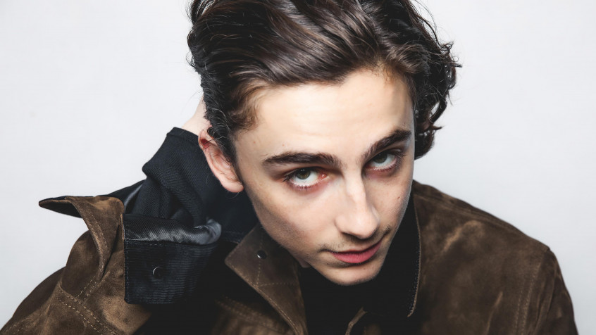 Timothee Chalamet 4k UHD Wallpaper 3840x2160px