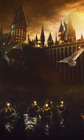 Harry Potter Phone Wallpaper 1280x2120px