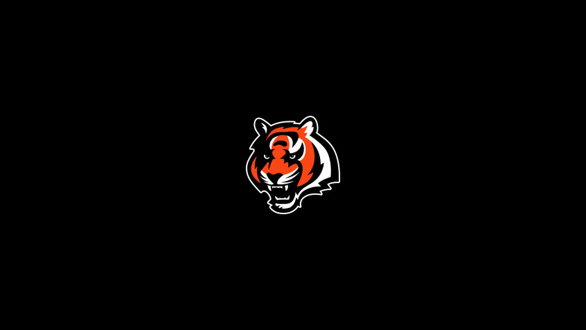 Cincinnati Bengals Logo 2k QHD Wallpaper 2560x1440px