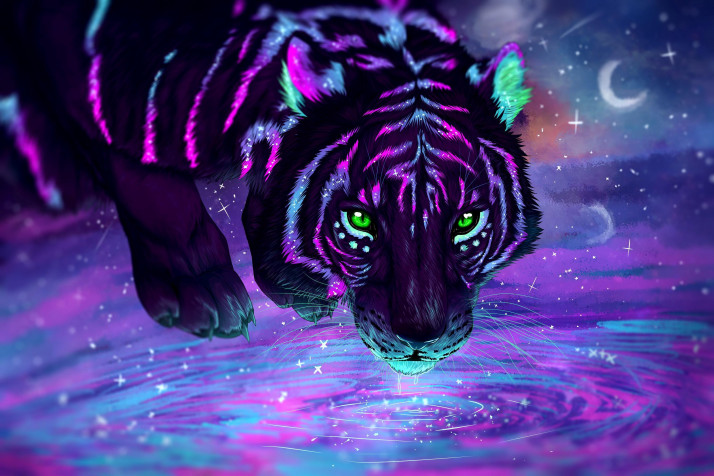 Tiger HD Background 3000x2001px