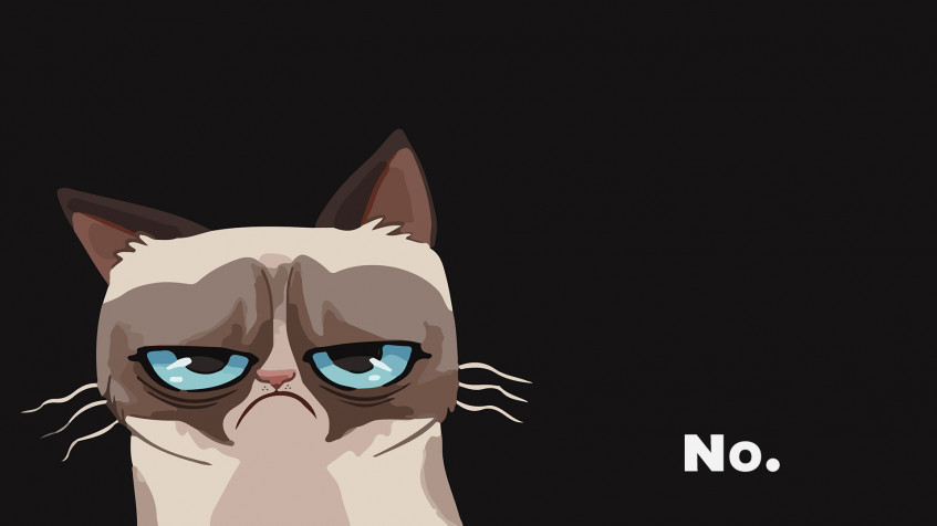 Grumpy Cat Full HD 1080p Wallpaper 1920x1080px