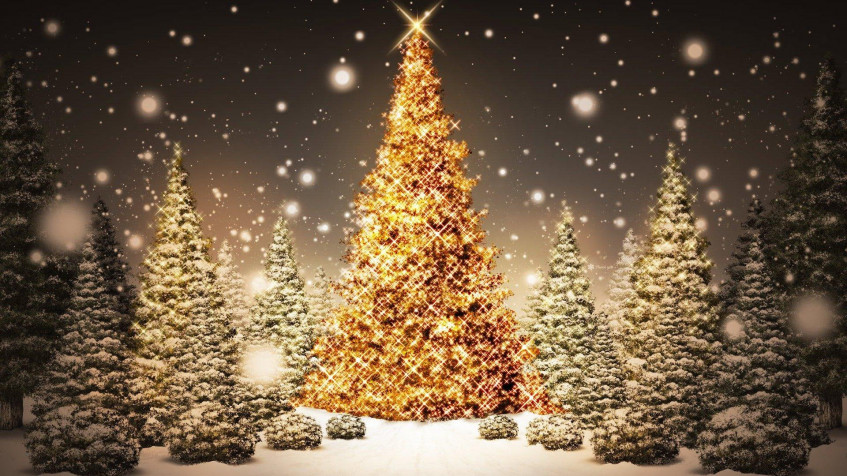 Christmas Tree Full HD 1080p Wallpaper 1920x1080px