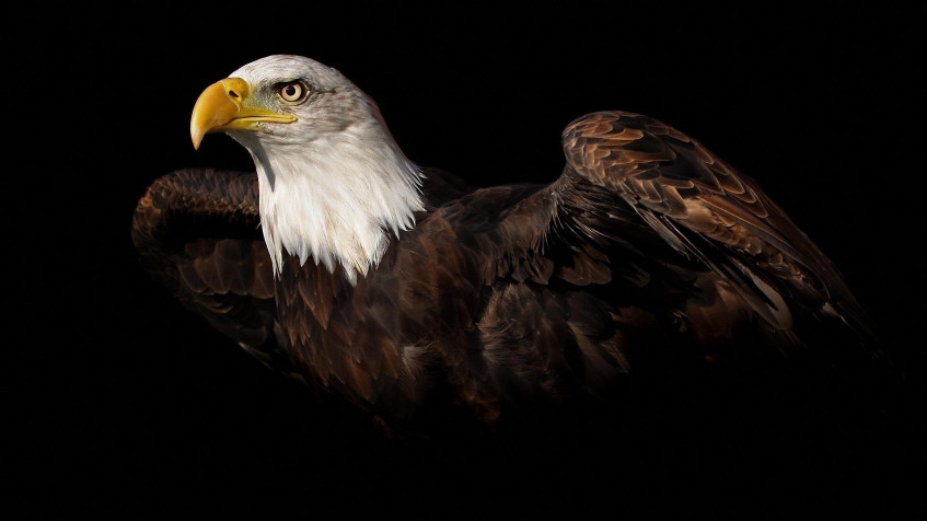  Full HD 1080p Wallpaper 1920x1080px