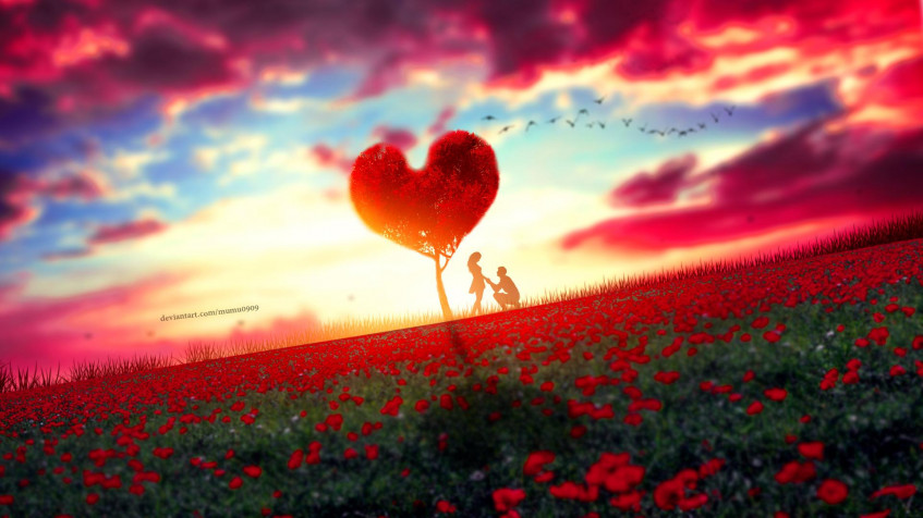 Love Full HD 1080p Wallpaper 1920x1080px