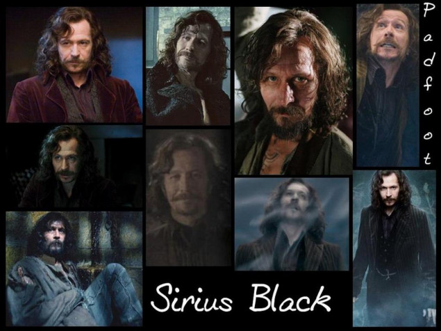 Sirius Black HD Wallpaper 1024x768px