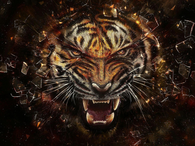 Tiger Desktop Background 1920x1440px