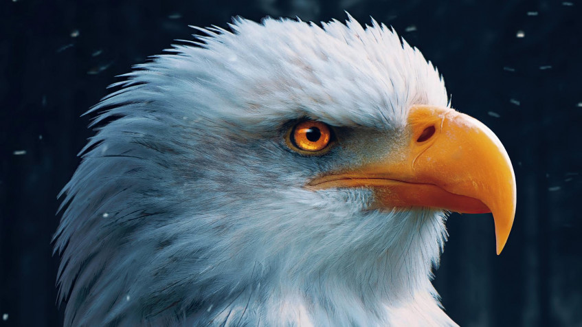  Full HD 1080p Wallpaper 1920x1080px