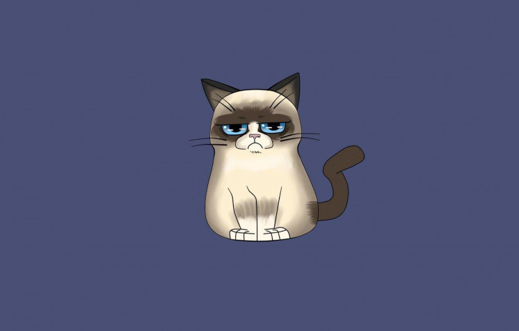 Grumpy Cat Laptop Wallpaper 1332x850px