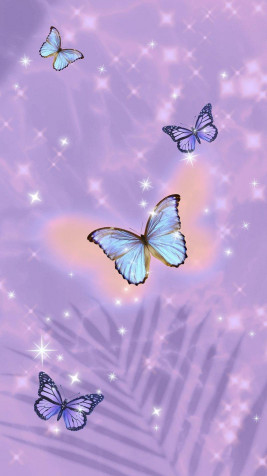 Butterflies iPhone Background Image 800x1422px