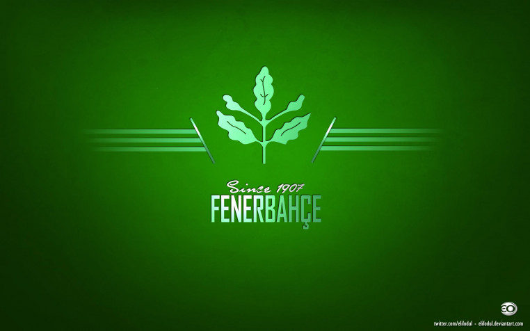 Fenerbahce S K Laptop Background 2560x1600px