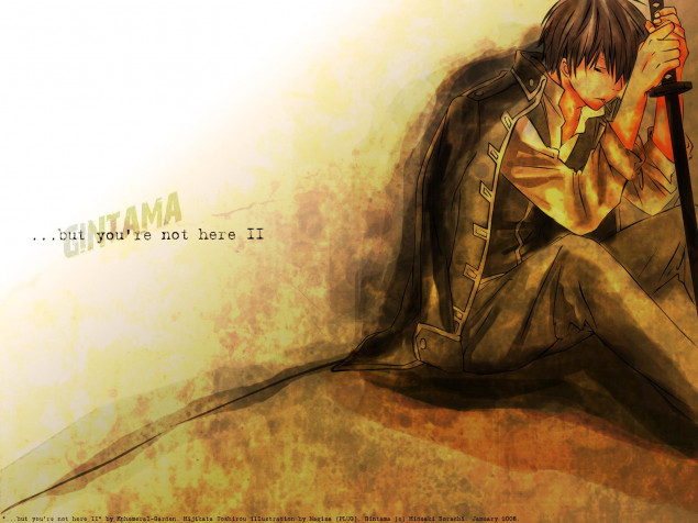 Toshiro Hijikata Desktop HD Background 1600x1200px