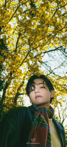 Bts V 2024 Wallpaper for Mobile 944x2048px